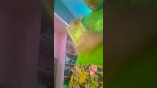 waste calendar us idea in Tamil 🤣💙😍😄🥰 comedy justforfun tamilsong funny tamilmusic subwaysurfe [upl. by Cutter]