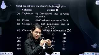 Match the columns and identify the correct option Column I ColumnII a Thylakoids [upl. by Ruosnam]