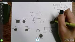 Genotypes and pedigrees [upl. by Rhett]