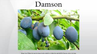 Damson [upl. by Uokes]