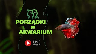 AkwaLive porządki LIVE 104 [upl. by Macnair]