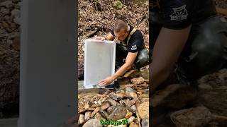 Gold Found Enhanced Gold Panning with Sluice System in a Mountain Stream GoldPanning [upl. by Sanjiv]