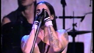 Red Hot Chili Peppers Madison Square Garden NYC 1996 [upl. by Kimmel594]