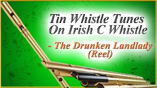 Tin Whistle Tunes On Irish C Whistle  The Drunken Landlady  McNeela Music [upl. by Ysirhc]