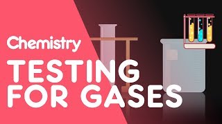 Testing for Hydrogen Oxygen Carbon Dioxide Ammonia and Chlorine  Tests  Chemistry  FuseSchool [upl. by O'Donnell]