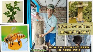 How to attract bees to new beehive  मधुमक्खीयां बॉक्स में अपने आप आ जाएगी viralvideo [upl. by Dorkas]