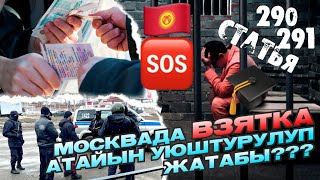 ЭМИ УШУНДАЙ ЖОЛ МЕНЕН 🆘ДЕПОРТ КЫЛЫП КАМАЙБЫ 😡АР БИР МЕКЕНДЕШ БИЛСИН 😡🇰🇬🆘РОССИЯ БОЮНЧА [upl. by Orman]