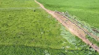 Condition report rural land Muswellbrook NSW 7824 [upl. by Aehcim]