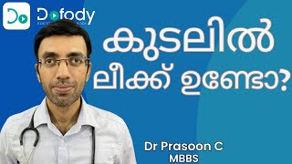 കുടലിൽ ലീക്ക് ഉണ്ടാകുമോ 😩 Leaky Gut What Are the Symptoms Causes and Treatments 🩺 Malayalam [upl. by Zulaledairam]