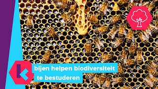 het gaat beter met dieren en planten in ons land [upl. by Willey899]