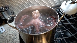 Eating LARGE OCTOPUS MUST WATCH [upl. by Eisso]