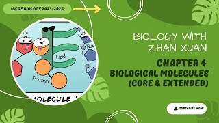 IGCSE Biology  Chapter 4  Biological Molecules [upl. by Larrisa]