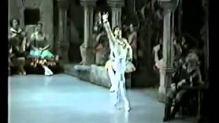 Don Quixote pas de deux Cynthia Harvey Julio Bocca Susan Jaffe [upl. by Dow]