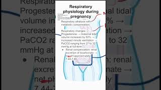 Respiratory physiology during pregnancy [upl. by Lora]