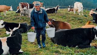 Happy Lonely Life of a Family of Shepherd Cheesemakers in an Old Mountain Village [upl. by Freddie]