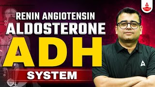 Renin Angiotensin Aldosterone System  NEET 2025  Antidiuretic Hormone ADH System  Nomesh Sir [upl. by Stanly]