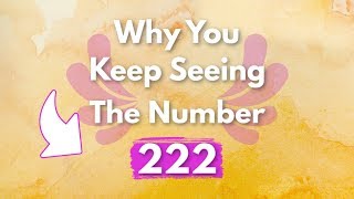 Why Do You Keep Seeing 222  Angel Number 222 Meaning [upl. by Eirrehc323]