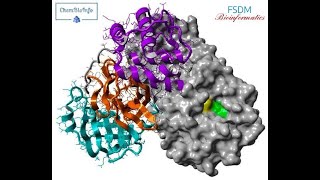 01 Docking molecular with Autodock الالتحام الجزيئي [upl. by Shayne754]