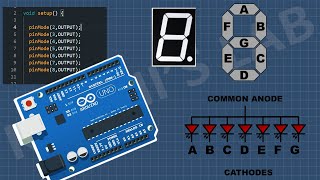 How To Use 7 Segment Display With Arduino  Arduino Tutorial [upl. by Norven952]