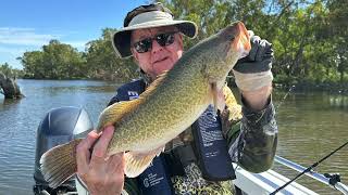 Murray Cod fishing  Goulburn River  Nagambie [upl. by Wynne504]