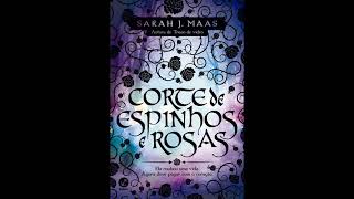 AUDIOLIVRO Corte de Espinhos e Rosas ACOTAR  Capítulo 19 [upl. by Prissie]