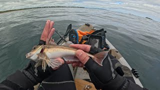 Kayak Fishing The Skerries for those elusive Mackerel at Portrush NI [upl. by Scholem214]