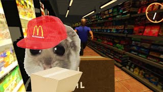 6 minutes of my friend and I stealing from roblox walmart [upl. by Artenak]