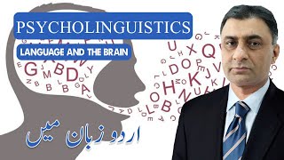 Psycholinguistics language and its brain [upl. by Whitebook]