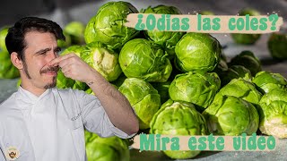 ¿ODIAS las COLES de Bruselas MIRA ESTE VIDEO  Probando la verdura que más odio [upl. by Nosnor765]