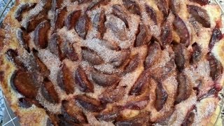 Thermomix TM 31 Zwetschgenkuchen mit Quark [upl. by Ellennad60]