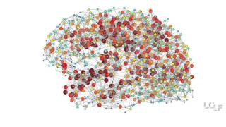 Connecting the Dots Mapping the Brain in a Common Form of Autism [upl. by Bobker]