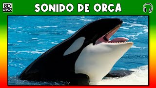 SONIDO DE ORCA 🐋 [upl. by Akired]