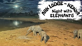 Elephant Night Watch Experience at The Ark Lodge Kenya [upl. by Kaltman128]