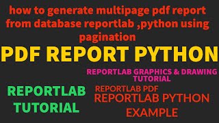 REPORTLABREPORTLAB PYTHON TUTORIALHow To Generate Multipage PDF using reportlab PaginationPART57 [upl. by Drandell]