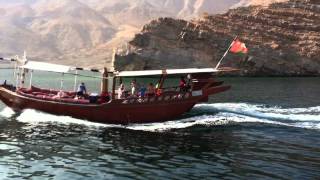 Dolphins in Khasab Musandam Oman Tour [upl. by Suilmann]