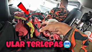 💢ULAR TERLEPAS DALAM LORI BOMBA‼️😱ULAR APA TU [upl. by Oicnerolf48]