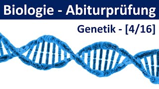 Biologie Abiturprüfung 2024  Aufgaben Genetik 22  Abitur Biologie 416 [upl. by Aehsal975]