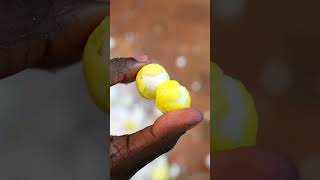 Sour Balls Of Joy  ASMR [upl. by Ociram]