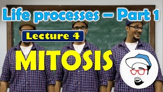 Mitosis  Life processes in Living Organisms Part 1 Class 10 SSC CBSE [upl. by Desirea]