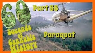 Paraquat Dichloride 24 SL  పారకట్ డైక్లోరైడ్ అన్ని రకాల కలుపు మొక్కల నివారిణి తెలుగు [upl. by Noorah655]