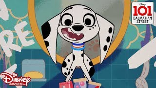 IN THE HOUSE 🎶 101 Dalmatian Street  Disney Channel Africa [upl. by Irrol]