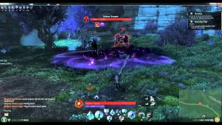 Skyforge  Gameplay Necromancer [upl. by Ahseinek]