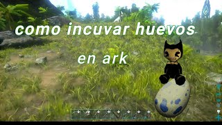 como incuvar huevos en ark [upl. by Alihet]