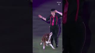 Dancing Into First Place  Crufts 2024 [upl. by Ladnar]