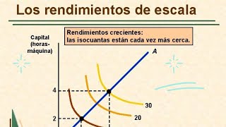 👨‍🏫Como Calcular los Rendimientos de Escala  Microeconomia 📊 [upl. by Orrocos]