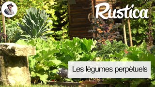 La culture des légumes perpétuels [upl. by Harms]