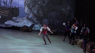 Ivan Vasiliev  Le Corsaire Variation 2nd Act  Mikhailovsky 08 02 2018 [upl. by Eisserc]