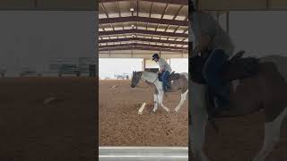 Horseback riding obstacle lesson with Beu Friday of last week [upl. by Ardine775]