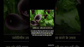 shortsfeed motivation vastugyaan hindudevotional ratantata astrology stories hindishayari [upl. by Sher]