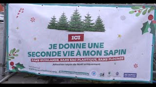 Lancement de l’opération de collecte de sapins en enclos 2024 [upl. by Demha]